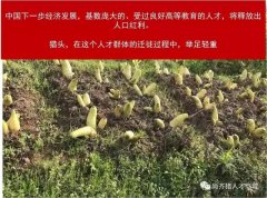 <b>正在一个小的艺术</b>